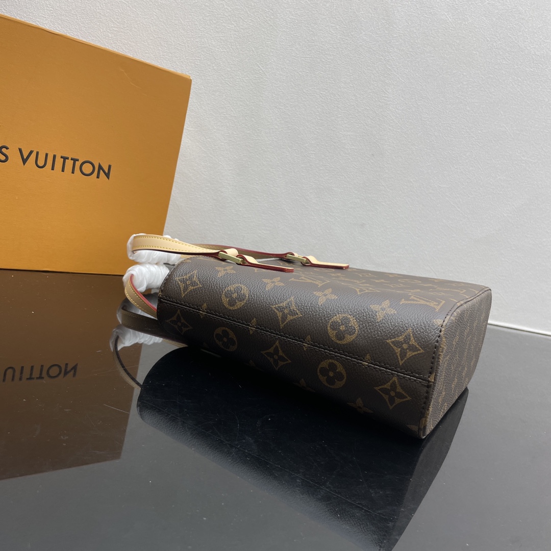 Louis Vuitton Shopping Bags